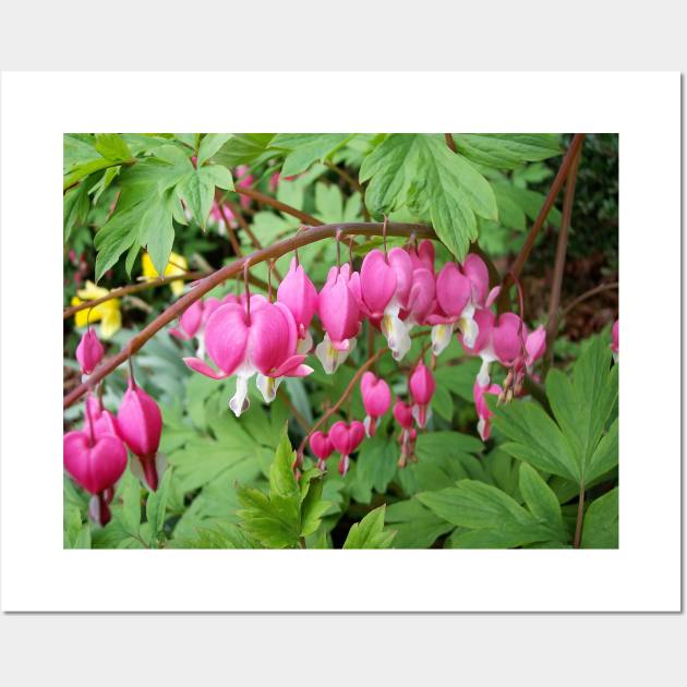 Bleeding Heart Wall Art by Rob Johnson Photography